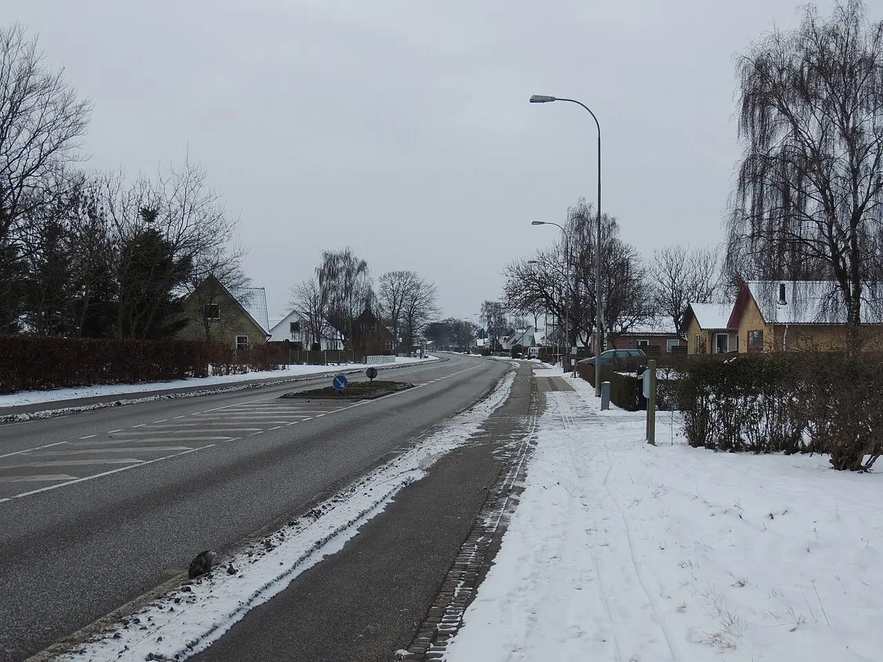 Arentsminde 20 januar 2013