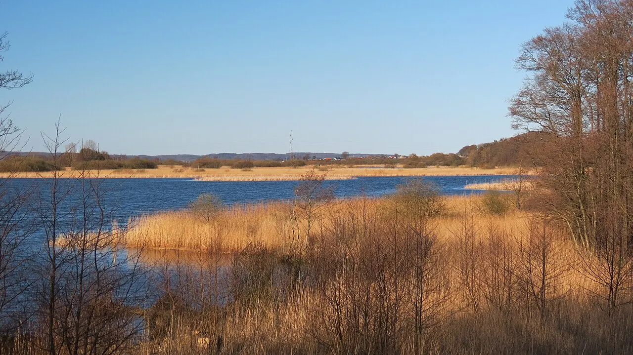 Dette er Rands Fjord ved Egeskov, Fredericia i Danmark. På billedet vises naturen omkring fjorden i April og billedet er taget mod…