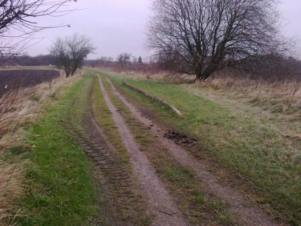 Stien på Randers-Hadsund-banens tracé passerer Gimming Trinbræt med perronkant