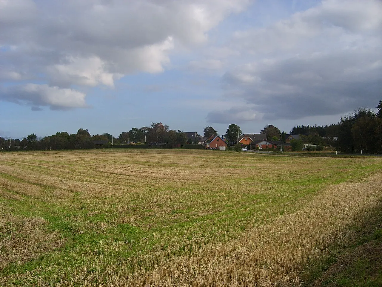 Foto af Sall (Region Midtjylland)