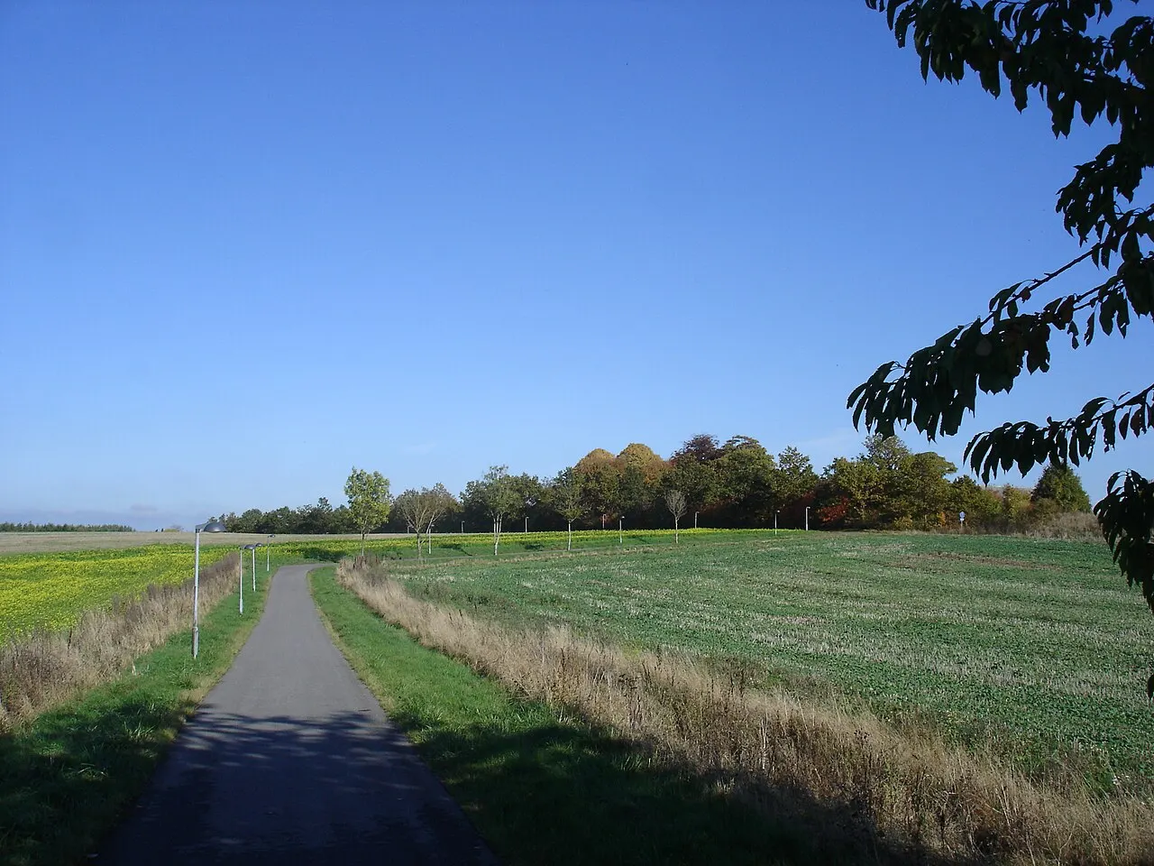 Banesti fra Bjæverskov mod NØ forlader Køge-Ringsted-banens tracé SV for Vemmedrup
